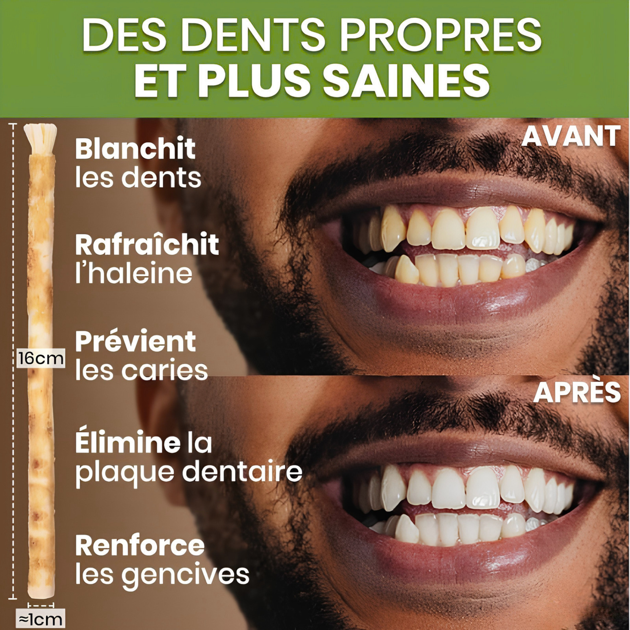 Siwak Blanchissant | Miswak Naturelle